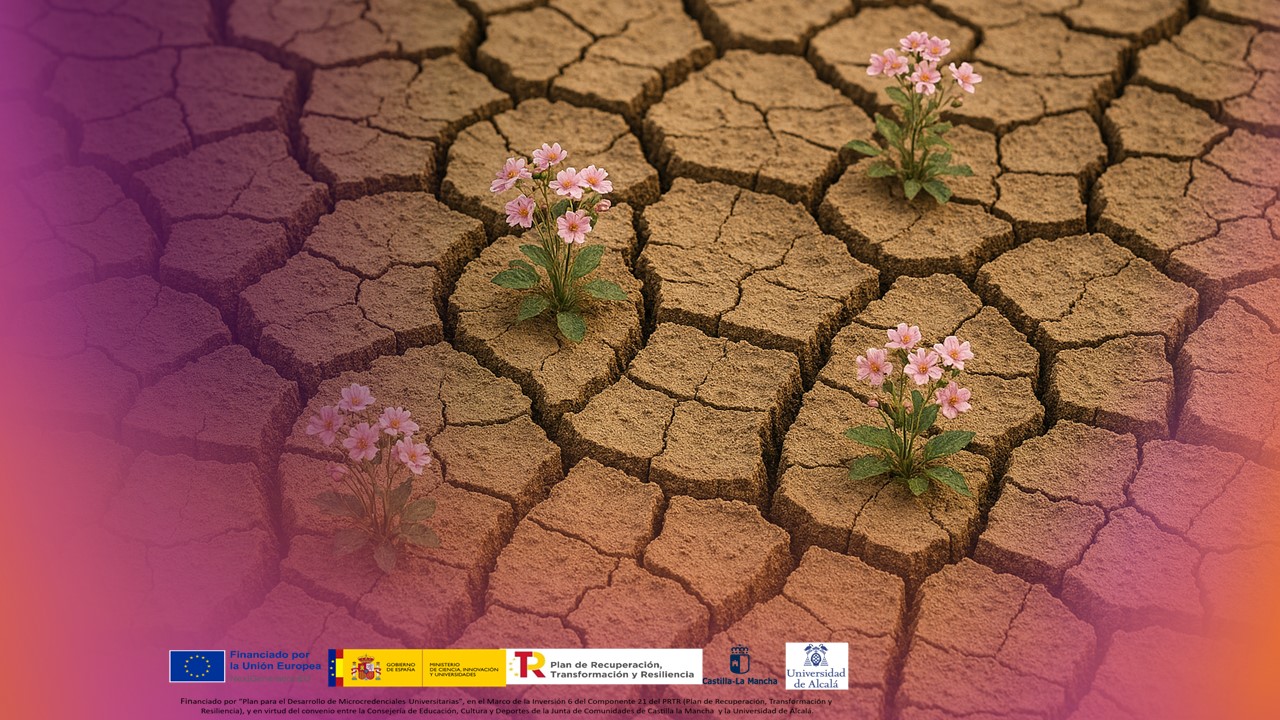 Resiliencia y Superación de las dificultades